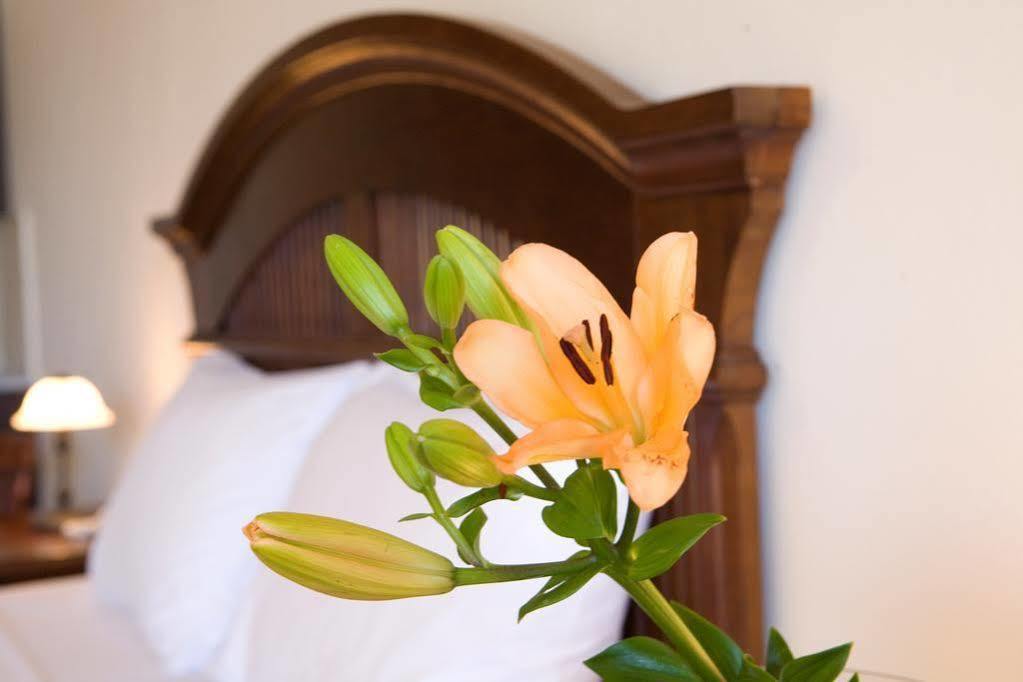 Adriatica Hotel Nikiana Dış mekan fotoğraf